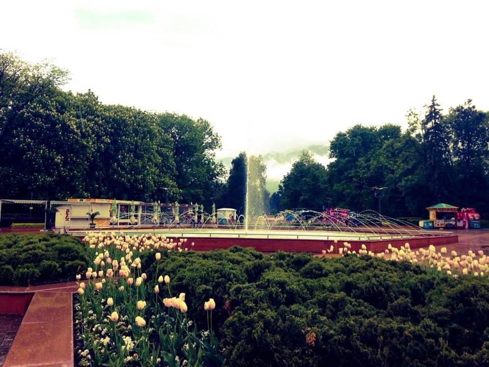 Sofia's hidden treasure - The South Park