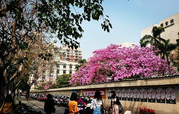 The Kaohsiung Cultural Center, Taiwan: photo 8