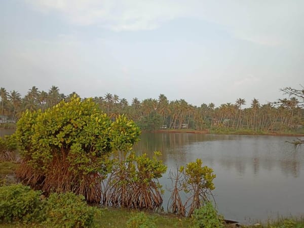 A guide to vacationing at Varkala - Goa of south India: photo 4