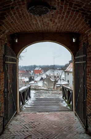 8 Places to visit in Novi Sad: photo 14