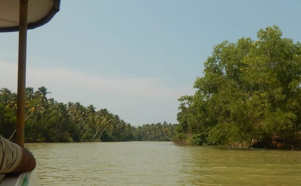 Kerala : Must Visit Places From Kochi to Thiruvananthapuram: photo 11
