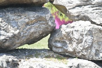Barbados: Exploring The Sea Cave In Saint Lucy: photo 4