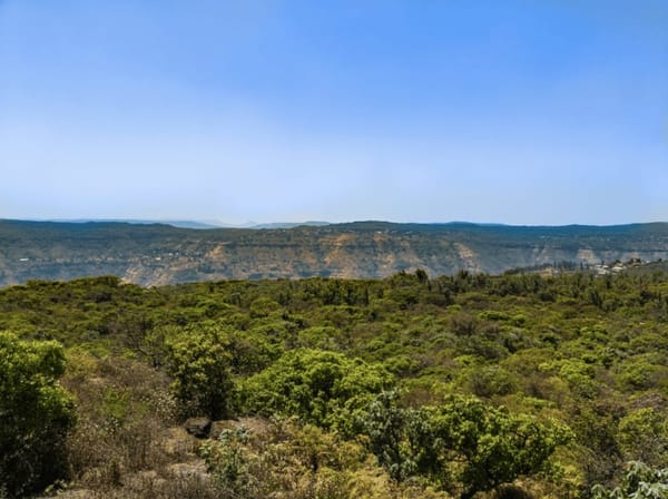 Places to see in Mahabaleshwar: photo 6
