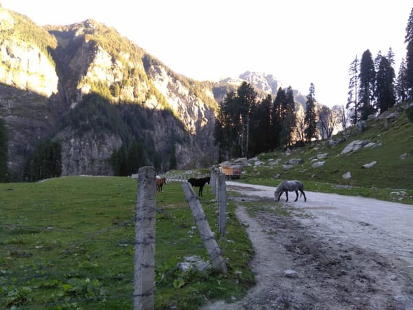 India’s secret sanctuary in Sethan: photo 5