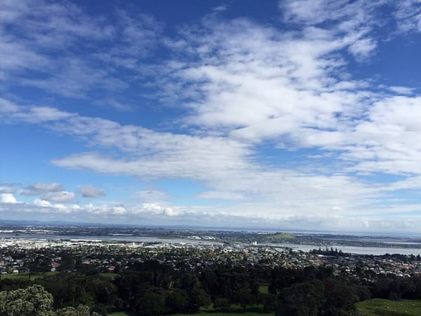 Auckland - beneath the busy city life: photo 7