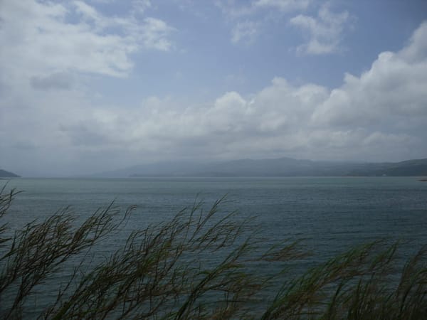 A Round Trip In The Highlands of Costa Rica: photo 1