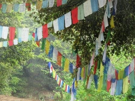 Tiger Nest Monastery, Bhutan: A journey Within: photo 4