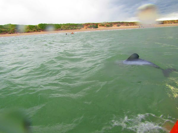Natural wonders in the Catlins region: photo 6