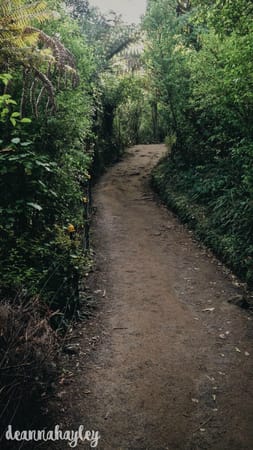 Mount Maunganui, New Zealand; A Humble Paradise: photo 5