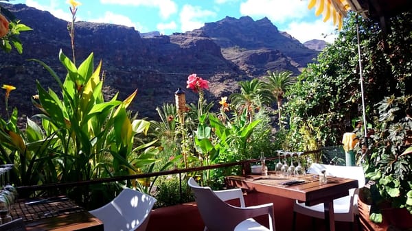 Sunny Side Up: An Insider's Guide to La Gomera's South: photo 8
