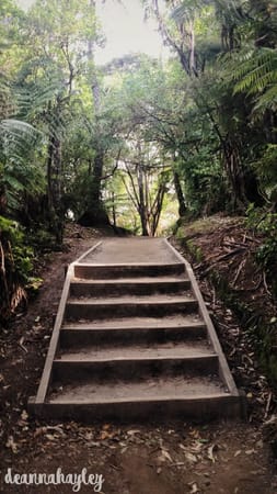 Mount Maunganui, New Zealand; A Humble Paradise: photo 6