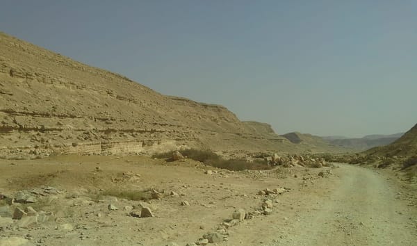 Protectorate in the center of the Capital of Egypt…: photo 2