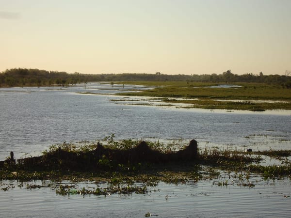 Kayaking! The top activity in Rosario - Argentina: photo 3