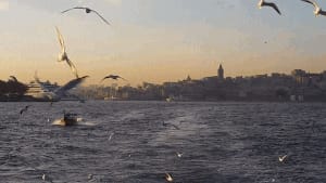 Top 7 Things To Do In Istanbul, Turkey: photo 6