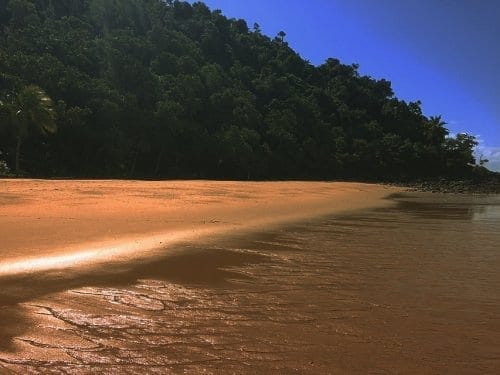 Bingil Bay - Australia’s hidden tropical paradise: photo 18