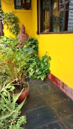 Pondicherry : A Weekend Getaway: photo 1