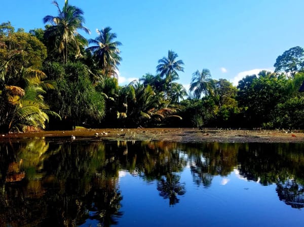 Cairns Local Adventure Guide: photo 1