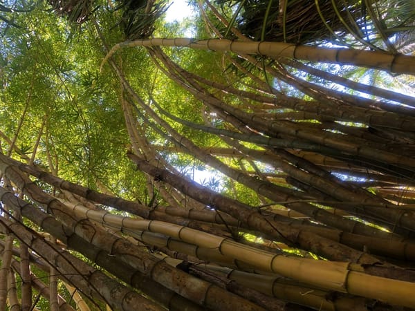 The best places to visit in Costa Rica: photo 4