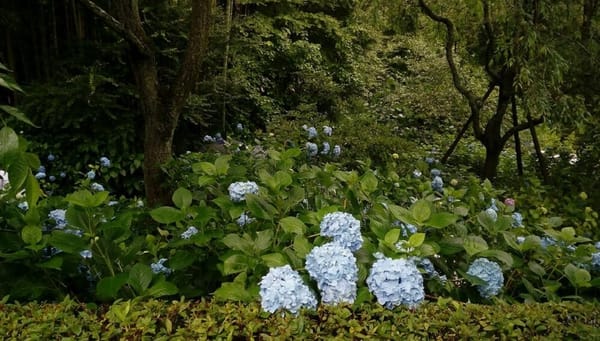 One day itinerary in Kamakura, Japan: photo 1