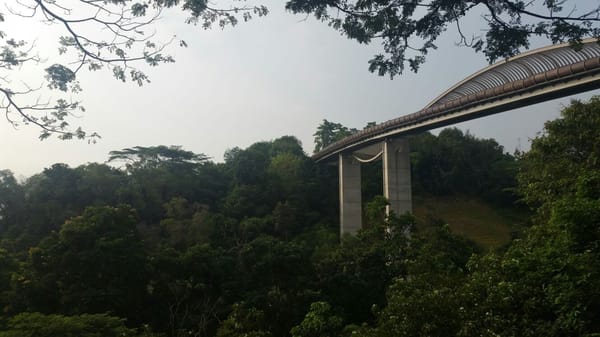 Singapore: Get Closer to Nature: photo 29