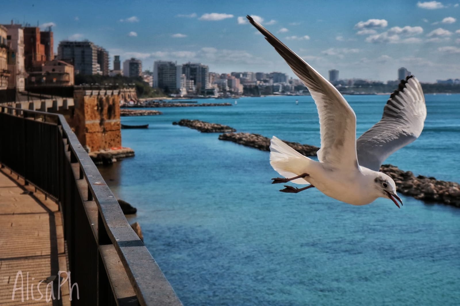 Taranto. Best things to see (and eat!) in the dolphins’town