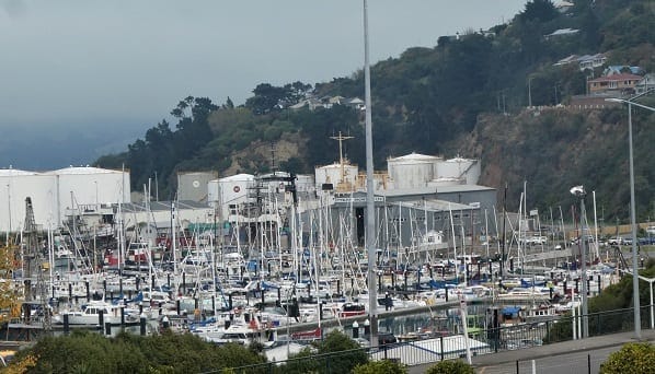 Lyttleton: Magical seaport town: photo 8