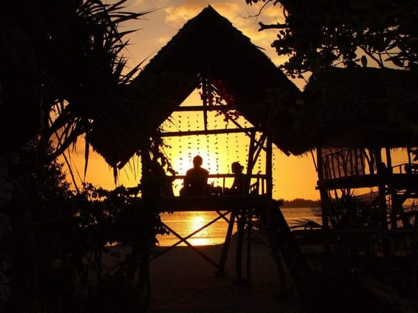 The Gili Islands: Which is the most venomous snake in the world?: photo 5