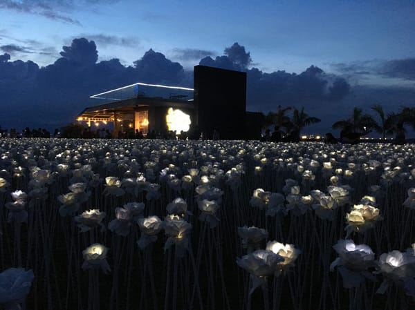 Top 10 Tourist Spots to Visit in Cebu City, Philippines for a Day: photo 17