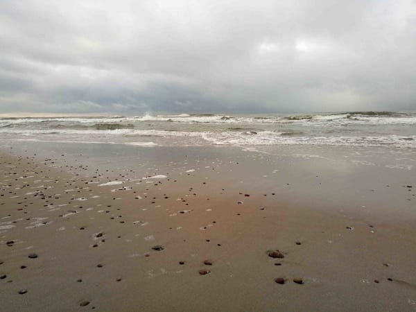 Curonian Spit National Park: photo 5