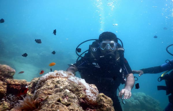 Andaman and Nicobar: perfect holiday spot.: photo 5