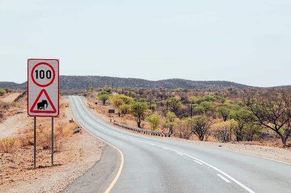 Namibia Self-drive: tips before you go!: photo 2