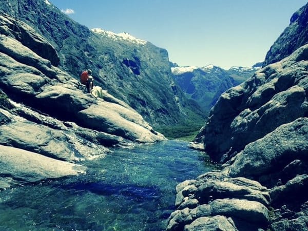 Milford Sound: Living amongst Giants: photo 1