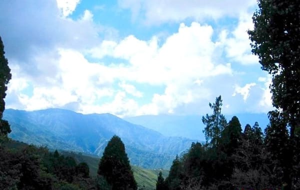 Darjeeling- the queen of Hills: photo 6