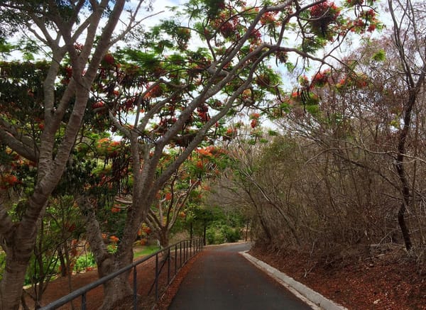 Port of call Noumea: Tourist traps and gems: photo 3