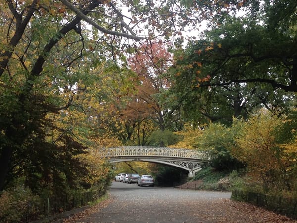 New York: A Highlights Guide: photo 5