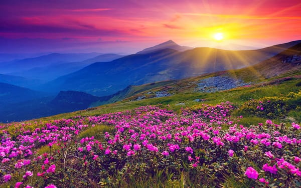Kashmir: Paradise on earth..!!: photo 15
