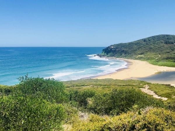 7 (Free) Places to Enjoy in Newcastle: photo 13