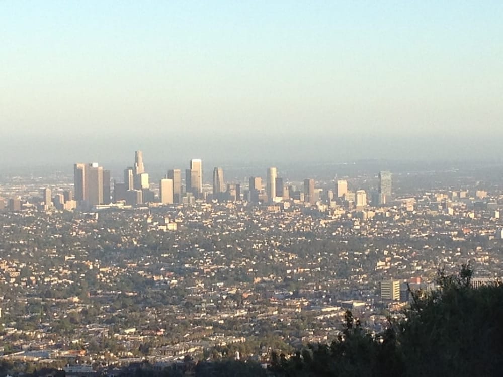 Peeling Open Los Angeles