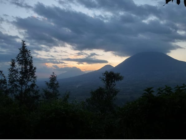 Mountain gorilla trekking in Volcanoes National Park, Rwanda: photo 3