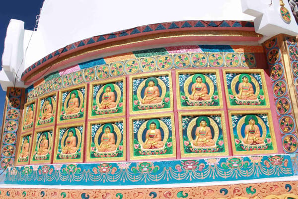 A trip to Ladakh: Pangong Lake, Nubra Valley and Monastries: photo 8