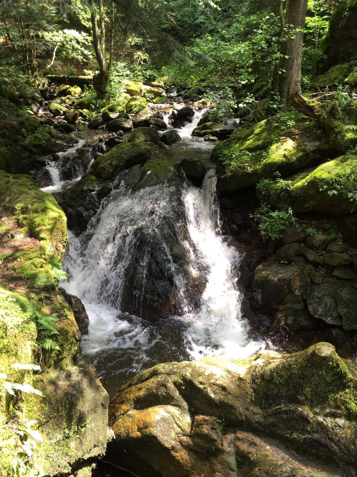 Schwarzwald: An Indian in the Black Forest