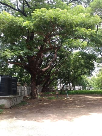 Valluvar Kottam- A stunning architectural and engineered marvel in Chennai: photo 5