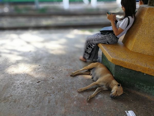 Local people’s daily life in Yangon: photo 5