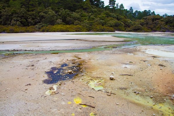 Wai-O-Tapu: the best volcanic park in New Zealand: photo 5