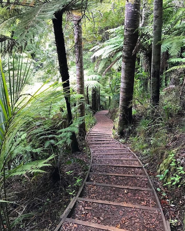 Amazing  free places to visit in Aukland