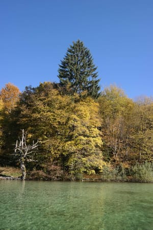 From Split to Plitvice Lake National Park: photo 12