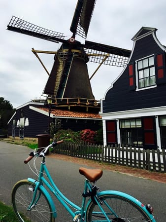 A step by step guide to exploring Amsterdam-Noord: photo 6