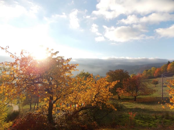 A visual journey of the French countryside: Valley of Munster: photo 8