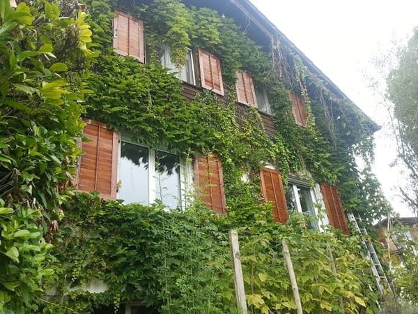 Zurich: Cheese, chocolate, and other amazing things!: photo 8