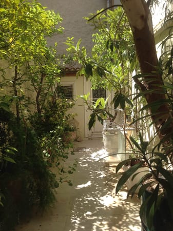 EARLY SPRING ANCIENT EXPERIENCE IN ATHENS: photo 13